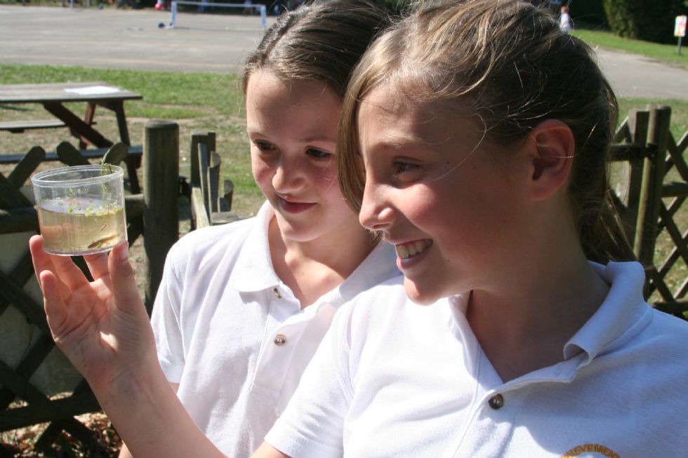  Two children with a newt